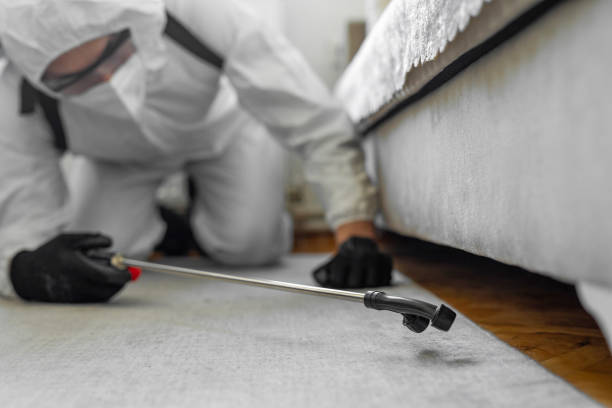 Professional Bed Bug Control technician working in Enterprise, AL